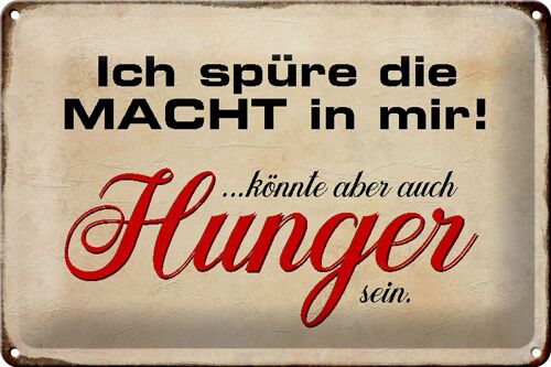 Blechschild Spruch 30x20cm spüre Macht in mir könnte Hunger