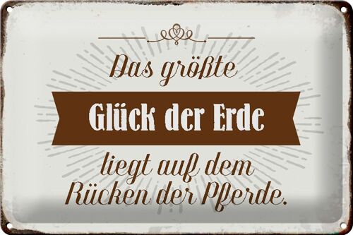 Blechschild Spruch 30x20cm Glück der Erde auf Rücken Pferde