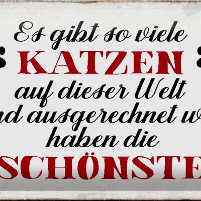 Blechschild Spruch 30x20cm wir haben die schönste Katze