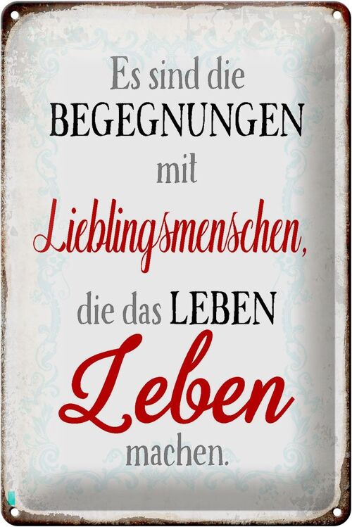 Blechschild Spruch 20x30cm Begegnungen Lieblingsmenschen