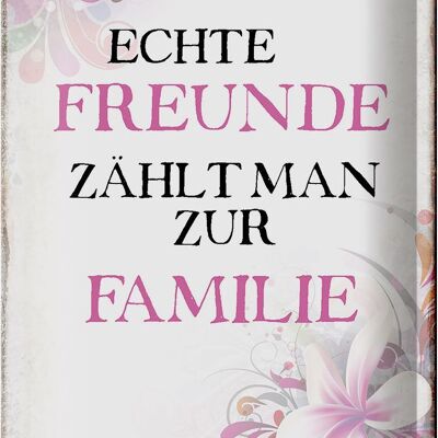 Blechschild Spruch 20x30cm echte Freunde zählt zur Familie