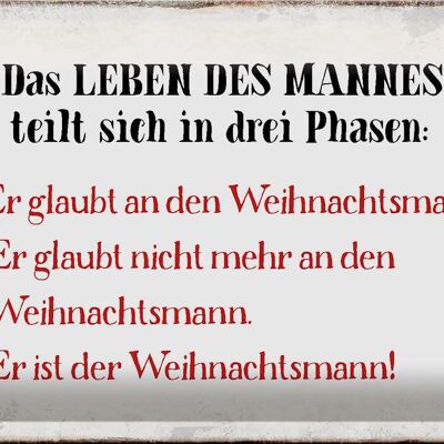 Blechschild Spruch 30x20cm das Leben des Mannes 3 Phasen