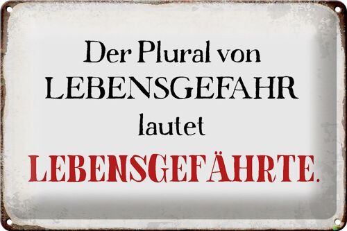 Blechschild Spruch 30x20cm plural von Lebensgefahr lautet