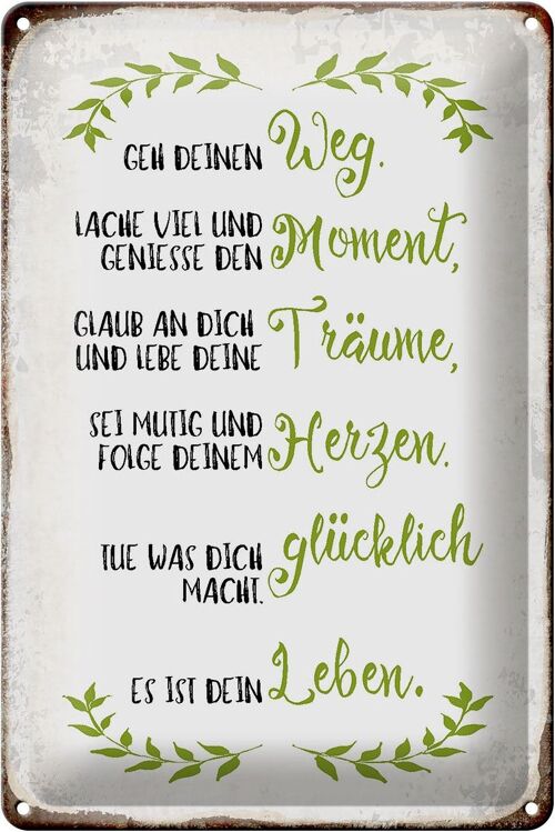 Blechschild Spruch 20x30cm geh deinen Weg lache viel