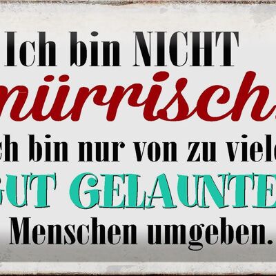 Blechschild Spruch 30x20cm ich bin nicht mürrisch bin nur