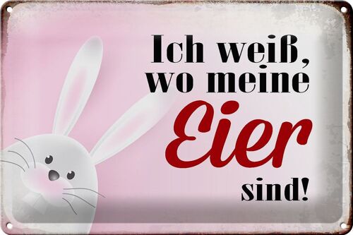 Blechschild Spruch 30x20cm Osterhase weiß wo Eier sind