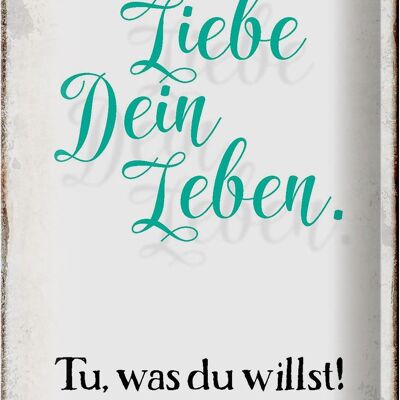 Blechschild Spruch 20x30cm liebe dein Leben tue was willst