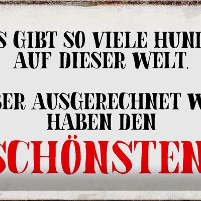 Blechschild Spruch 30x20cm wir haben den schönsten Hund