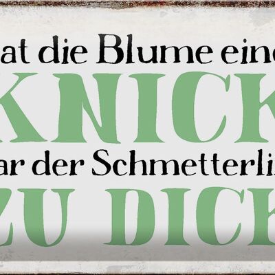 Blechschild Spruch 30x20cm Blume Knick Schmetterling dick