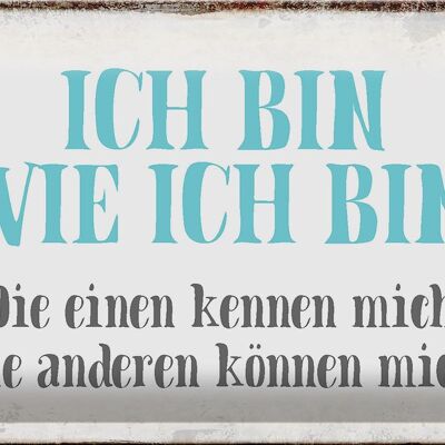 Blechschild Spruch 30x20cm ich bin so wie ich bin