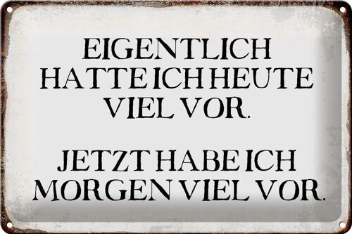 Blechschild Spruch 30x20cm eigentlich hatte heute viel vor