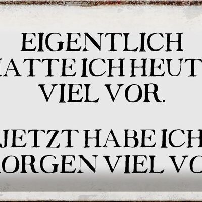 Blechschild Spruch 30x20cm eigentlich hatte heute viel vor