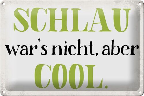 Blechschild Spruch 30x20cm schlau war`s nicht aber cool