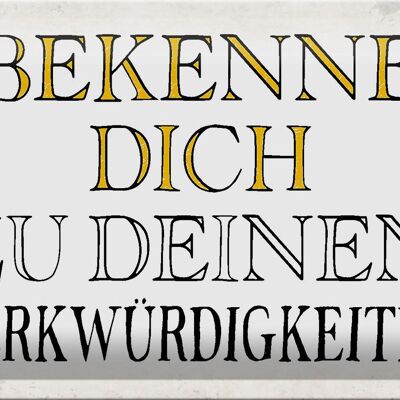 Blechschild Spruch 30x20cm bekenne dich Merkwürdigkeiten