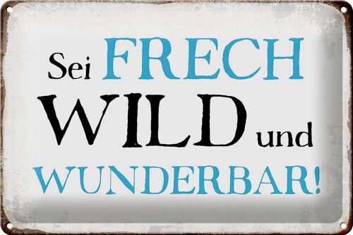 Blechschild Spruch 30x20cm sei frech wild wunderbar Retro