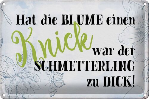 Blechschild Spruch 30x20cm hat Blume Knick Schmetterling