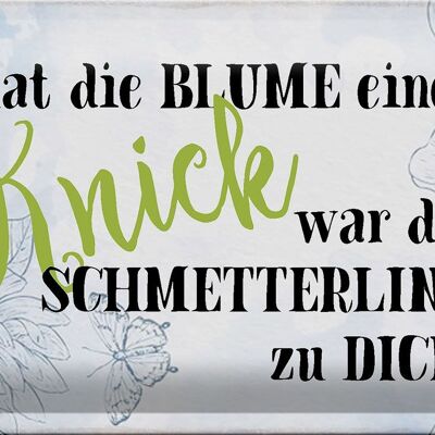 Blechschild Spruch 30x20cm hat Blume Knick Schmetterling