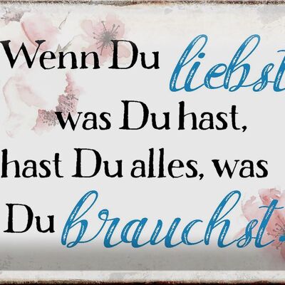 Blechschild Spruch 30x20cm wenn du liebst was du hast