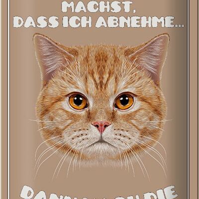 Blechschild Katze 20x30cm lieber Gott wenn du schon nicht