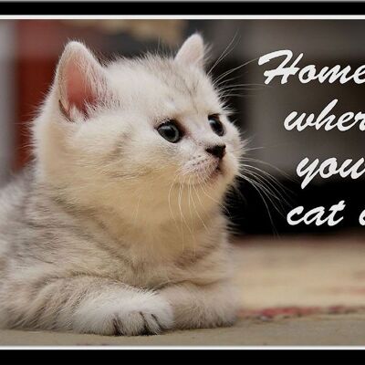 Cartel de chapa que dice gato de 30x20 cm. El hogar es donde está tu gato.