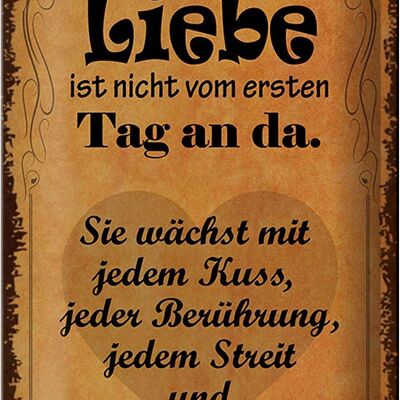 Blechschild Spruch 20x30cm Liebe ist nicht vom ersten Tag