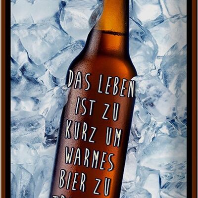 Blechschild Spruch 20x30cm Leben ist zurz um warmes Bier