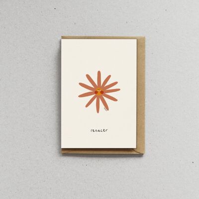 Card with envelope - Daisies - Renacer