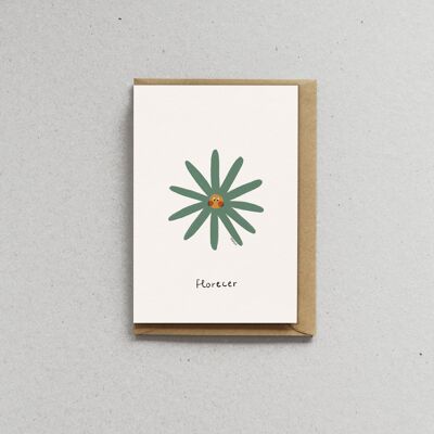 Card with envelope - Daisies - Bloom