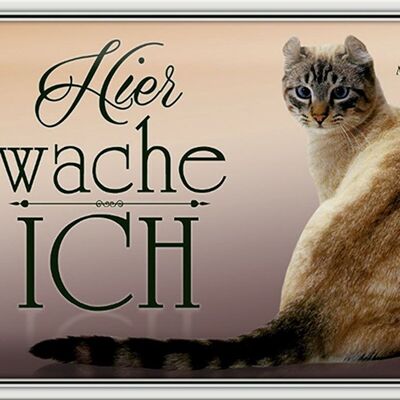 Blechschild Katze 30x20cm American Curl hier wache ich