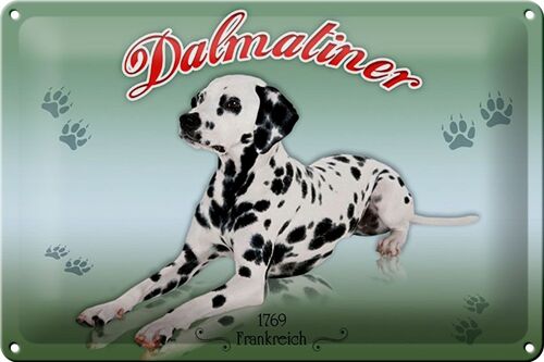 Blechschild Hund 30x20cm Dalmatiner 1769 Frankreich