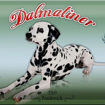Blechschild Hund 30x20cm Dalmatiner 1769 Frankreich