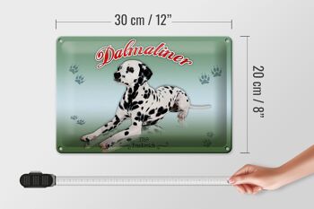 Plaque en tôle chien 30x20cm Dalmatien 1769 France 4