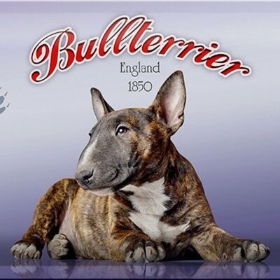 Plaque en tôle chien 30x20cm Bull Terrier Angleterre 1850