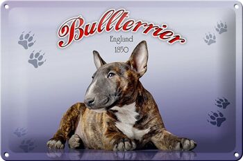 Plaque en tôle chien 30x20cm Bull Terrier Angleterre 1850 1