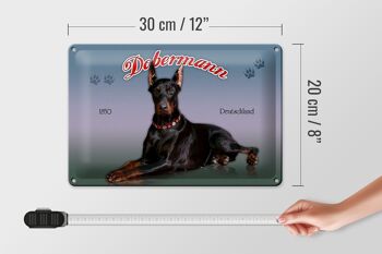 Plaque en tôle chien 30x20cm Doberman 1850 Allemagne 4