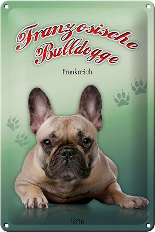 Blechschild Hund 20x30cm Französische Bulldogge