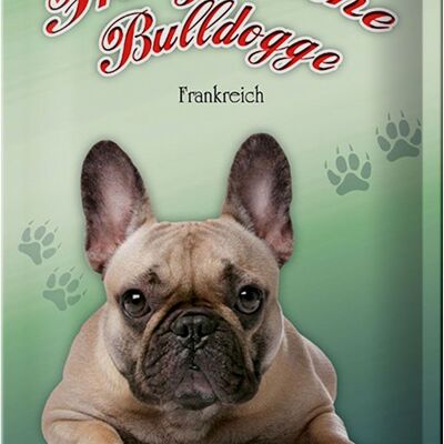 Cartel de chapa perro 20x30cm Bulldog Francés