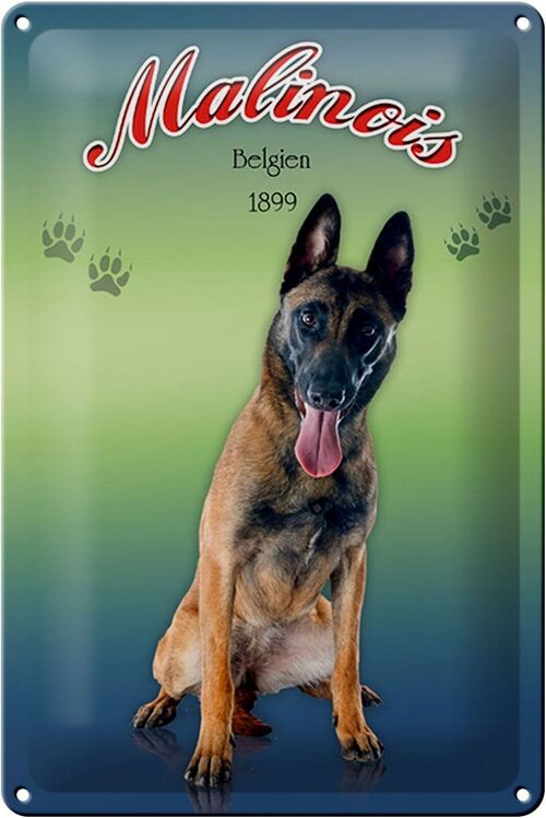 Blechschild Hund 20x30cm Malinois Belgien 1899