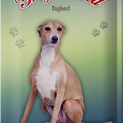 Metal sign dog 20x30cm Greyhound England