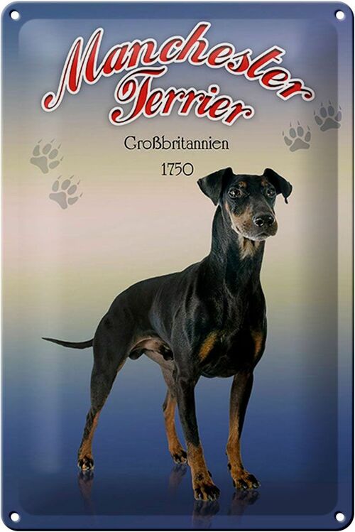 Blechschild Hund 20x30cm Manchester Terrier Großbritanien