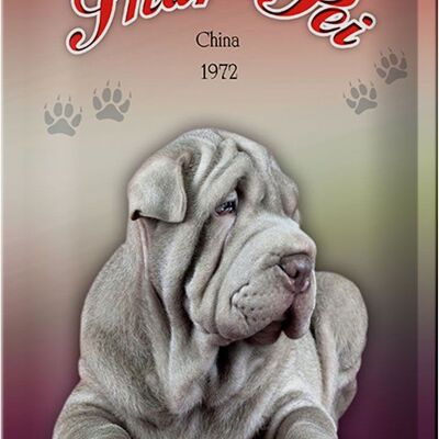 Cartel de chapa perro 20x30cm Shar-Pei China 1972