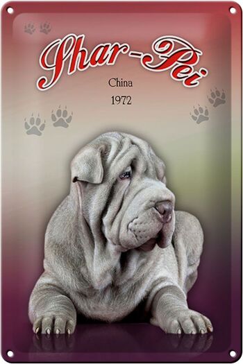 Plaque en tôle chien 20x30cm Shar-Pei Chine 1972 1