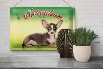 Plaque en tôle chien 30x20cm Chihuahua Mexique décoration murale 3