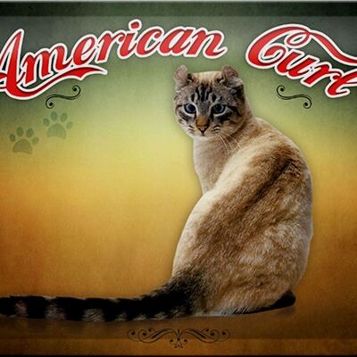 Tin sign cat 30x20cm American Curl wall decoration
