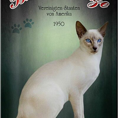 Tin sign cat 20x30cm Balinese cat America 1950