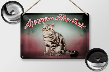 Plaque en tôle chat 30x20cm, décoration murale American Shorthair 2