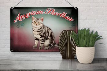 Plaque en tôle chat 30x20cm, décoration murale American Shorthair 3