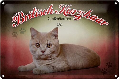 Blechschild Katze 30x20cm British Kurzhaar Großbritanien