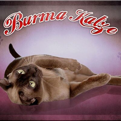 Cartel de chapa gato 30x20cm Gato de Birmania