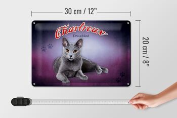 Plaque en tôle chat 30x20cm Chartreux Allemagne 4